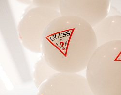 GUESS Оформление входной группы