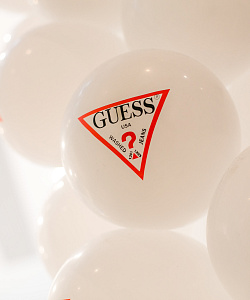 GUESS Оформление входной группы
