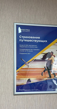Ингосстрах Аудит 
